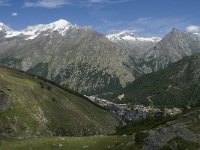 CH, Wallis, Saas Fee, Weissmies 5, Saxifraga-Willem van Kruijsbergen