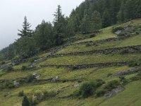 CH, Wallis, Saas Grund 7, Saxifraga-Willem van Kruijsbergen