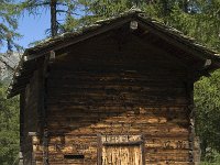 CH, Wallis, Saas Grund, Bidermatten 2, Saxifraga-Willem van Kruijsbergen