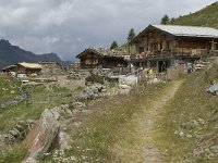 CH, Wallis, Saas Grund, Hannig 5, Saxifraga-Willem van Kruijsbergen