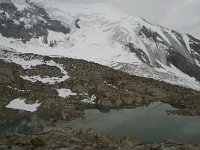 CH, Wallis, Saas Grund, Hohsaas 11, Saxifraga-Willem van Kruijsbergen