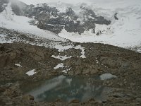 CH, Wallis, Saas Grund, Hohsaas 12, Saxifraga-Willem van Kruijsbergen