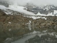 CH, Wallis, Saas Grund, Hohsaas 19, Saxifraga-Willem van Kruijsbergen