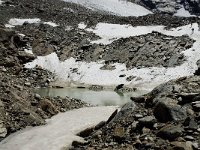 CH, Wallis, Saas Grund, Hohsaas 3, Saxifraga-Willem van Kruijsbergen