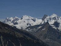 CH, Wallis, Saas Grund, Hohsaas, Allalinhorn 1, Saxifraga-Willem van Kruijsbergen