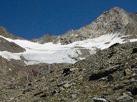 CH, Wallis, Saas Grund, Hohsaas, Hohlaubgletscher 5, Saxifraga-Willem van Kruijsbergen