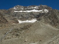 CH, Wallis, Saas Grund, Hohsaas, Lagginhorn 6, Saxifraga-Willem van Kruijsbergen