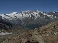 CH, Wallis, Saas Grund, Hohsaas, Mischabelkette 5, Saxifraga-Willem van Kruijsbergen