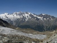 CH, Wallis, Saas Grund, Hohsaas, Mischabelkette 6, Saxifraga-Willem van Kruijsbergen