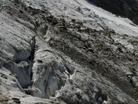 CH, Wallis, Saas Grund, Hohsaas, Triftgletscher 13, Saxifraga-Willem van Kruijsbergen