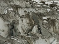 CH, Wallis, Saas Grund, Hohsaas, Triftgletscher 40, Saxifraga-Willem van Kruijsbergen