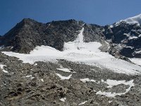 CH, Wallis, Saas Grund, Hohsaas, Weissmies 4, Saxifraga-Willem van Kruijsbergen