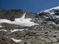 CH, Wallis, Saas Grund, Hohsaas, Weissmies 5, Saxifraga-Willem van Kruijsbergen