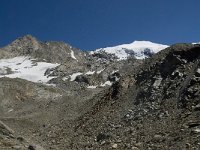 CH, Wallis, Saas Grund, Hohsaas, Weissmies 7, Saxifraga-Willem van Kruijsbergen