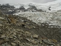 CH, Wallis, Saas Grund, Hohsaas, Weissmies-Triftgletscher 13, Saxifraga-Willem van Kruijsbergen