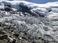 CH, Wallis, Saas Grund, Hohsaas, Weissmies-Triftgletscher 7, Saxifraga-Willem van Kruijsbergen