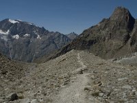 CH, Wallis, Saas Grund, Hohsaas-Weissmieshuette 1, Saxifraga-Willem van Kruijsbergen