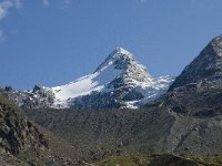 CH, Wallis, Saas Grund, Kreuzboden 16, Saxifraga-Willem van Kruijsbergen