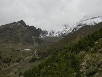 CH, Wallis, Saas Grund, Kreuzboden 9, Saxifraga-Willem van Kruijsbergen