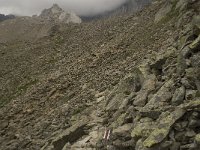 CH, Wallis, Saas Grund, Malliga 16, Saxifraga-Willem van Kruijsbergen