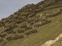 CH, Wallis, Saas Grund, Triftgratji 3, Saxifraga-Willem van Kruijsbergen