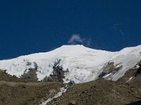 CH, Wallis, Saas Grund, Weissmies 3, Saxifraga-Willem van Kruijsbergen