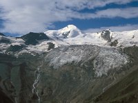 CH, Wallis, Saas-Almagell, Allalinhorn 1, Saxifraga-Jan van der Straaten