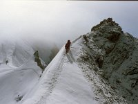 CH, Wallis, Saas-Almagell, Feechopf 2, Saxifraga-Jan van der Straaten