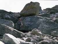 CH, Wallis, Saas-Almagell, Monte Moro Pass 14, Saxifraga-Jan van der Straaten