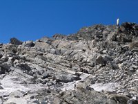 CH, Wallis, Saas-Almagell, Monte Moro Pass 7, Saxifraga-Jan van der Straaten