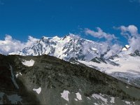 CH, Wallis, Saas-Almagell, Monte Rosa 2, Saxifraga-Jan van der Straaten