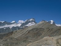 CH, Wallis, Saas-Almagell, Rimpfischhorn 3, Saxifraga-Jan van der Straaten