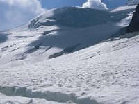 CH, Wallis, Saas-Almagell, Strahlhorn 19, Saxifraga-Jan van der Straaten