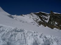 CH, Wallis, Saas-Fee, Mittelallalin 5, Saxifraga-Luuk Vermeer