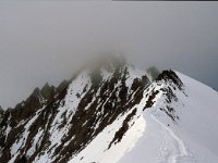 CH, Wallis, Saas-Fee, Nadelhorn 2, Saxifraga-Jan van der Straaten