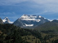 CH, Wallis, Saas-Grund, Lagginhorn 1, Saxifraga-Jan van der Straaten