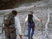 CH, Wallis, Saas-Grund, Lagginhorn 17, Saxifraga-Jan van der Straaten