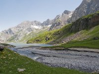 CH, Wallis, Saviese, Col du Sanetsch 2, Saxifraga-Luuk Vermeer