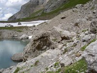 CH, Wallis, Saviese, Col du Sanetsch 4, Saxifraga-Luuk Vermeer