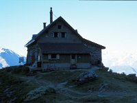 CH, Wallis, Val de Bagnes, Cabane Mont Fort 2, Saxifraga-Jan van der Straaten