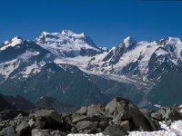 CH, Wallis, Val de Bagnes, Col de Louvie 2, Saxifraga-Jan van der Straaten