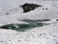 CH, Wallis, Val de Bagnes, Grand Désert 9, Saxifraga-Jan van der Straaten