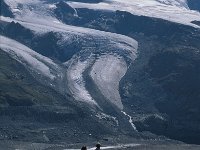 CH, Wallis, Zermatt, Gornergrat 7, Saxifraga-Jan van der Straaten