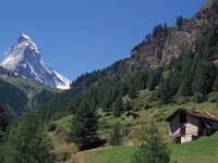 CH, Wallis, Zermatt, Matterhorn 1, Saxifraga-Jan van der Straaten