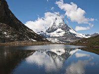 CH, Wallis, Zermatt, Matterhorn 24, Saxifraga-Luuk Vermeer