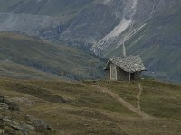 CH, Wallis, Zermatt, Riffelberg 1, Saxifraga-Willem van Kruijsbergen