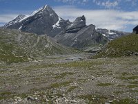 CH, Wallis, Leukerbad, Lammerenboden 11, Saxifraga-Willem van Kruijsbergen