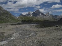 CH, Wallis, Leukerbad, Lammerenboden 23, Saxifraga-Willem van Kruijsbergen