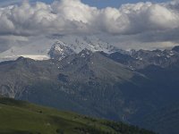 CH, Wallis, Randa, Weisshorn 1, Saxifraga-Willem van Kruijsbergen