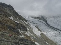 CH, Wallis, Saas Almagell, Allalingletscher 13, Saxifraga-Willem van Kruijsbergen